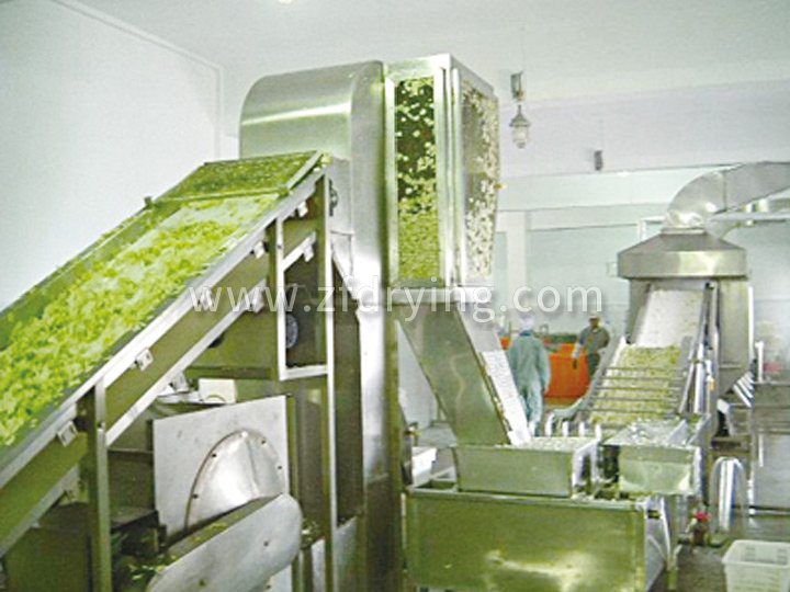 Dehydrated vegetable belt dryer