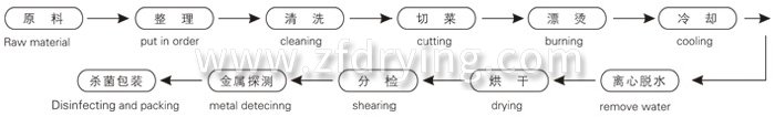 脱水蔬菜带式干燥工艺流程